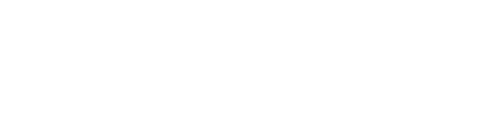 Salerno & Partners